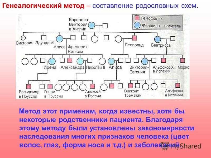 Уход за русыми волосами