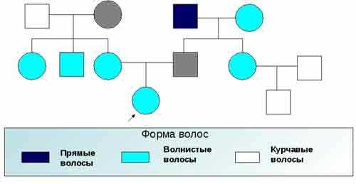 2. Длинные каскады