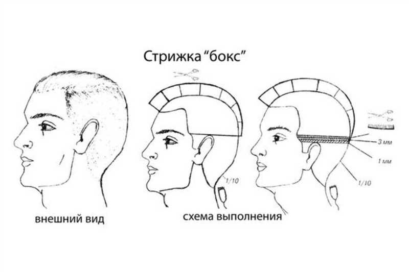 Культовые фигуры и их стрижки: история мужской модельной стрижки в контексте иконических личностей