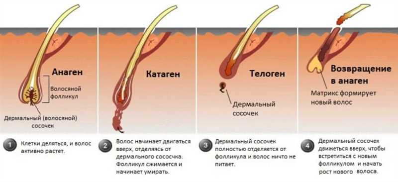 Диета и изменение пигментации волос