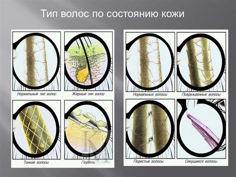 Биотехнологии для естественного и здорового вида волос: секреты парикмахеров