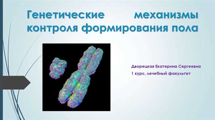 Механизмы формирования цвета волос: последние научные достижения