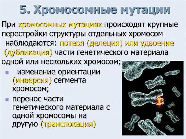 Генетические мутации и их влияние на изменение цвета волос