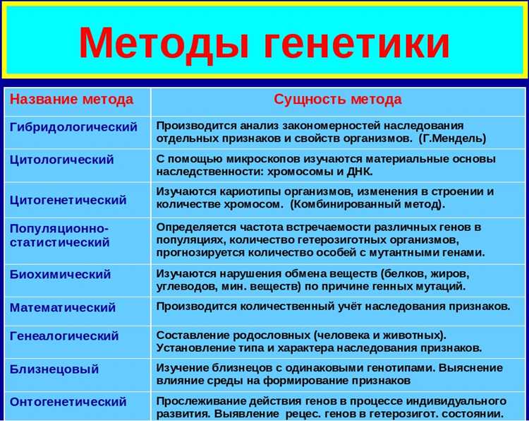 Генетические подходы к изменению цвета волос: от наследственного до экспериментального