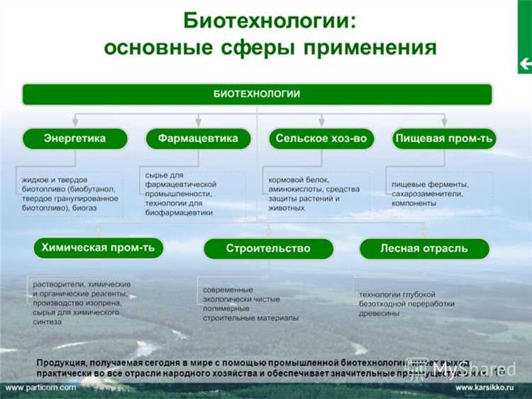 Висновки про використання біотехнологій в догляді за волоссям