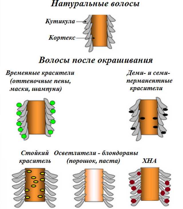 История окрашивания волос