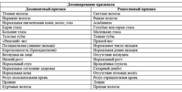 Влияние генетики на цвет волос: механизмы действия рецессивных и доминантных генов