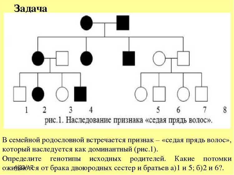 Закономерности наследования цвета волос: роль генов и их влияние